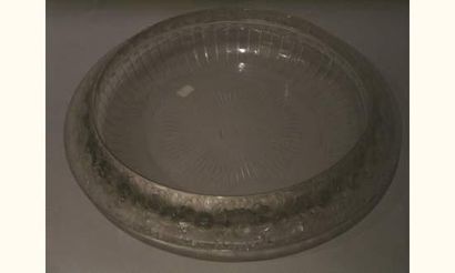René LALIQUE. Une coupe 
