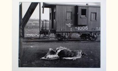 Bristol, Horace (1909-1997)
Taegin railroad,...