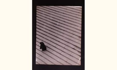 Reportages, c. 1950
Cauchetier, Raymond (1920)....