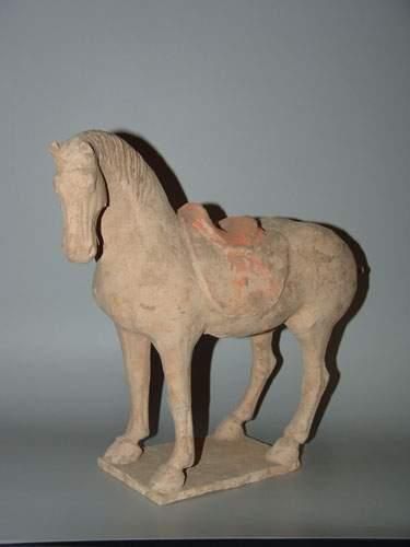 TANG (618 - 907 ap. J.C.)
Cheval sellé, la...
