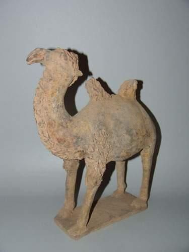 TANG (618 - 907 ap. J.C.)
Chameau lainé dit...
