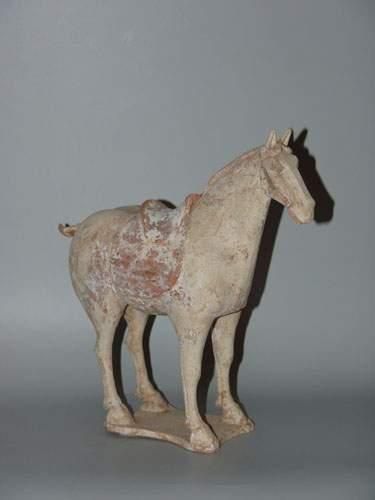 TANG (618 - 907 ap. J.C.)
Cheval sellé, debout...