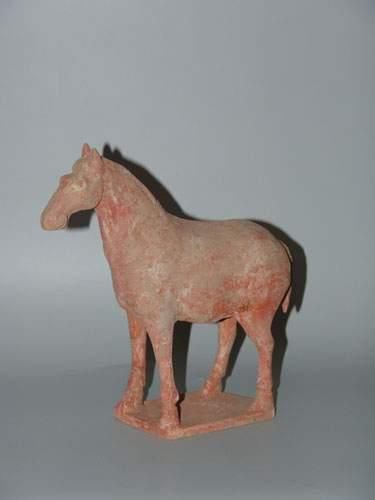 TANG (618 - 907 ap. J.C.)
Cheval debout sur...