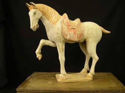 TANG (618 - 907 ap. J.C.)
Cheval à la jambe...