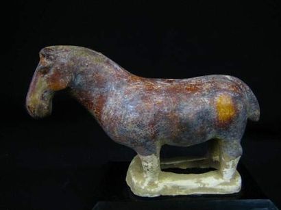 TANG (618 - 907 ap. J.C.)
Cheval debout.
En...