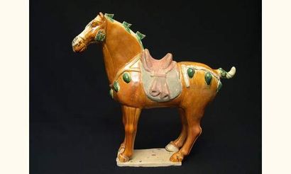 TANG (618-907 ap. J.C.)
Cheval à la robe...