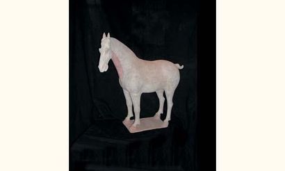 TANG (618 - 907 ap. J.C.)
Cheval debout en...