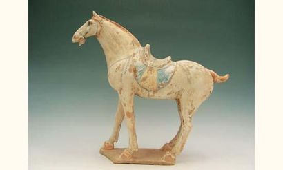 TANG (618 - 907 ap. J.C.)
Cheval sellé en...