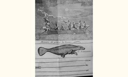 OEXMELIN (Alexandre-Olivier). - Histoire...