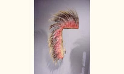 Coiffure Roach
Indiens des plaines, U.S.A.
Poils,...