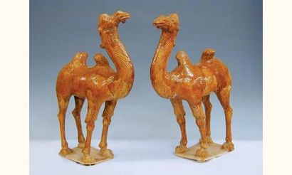 TANG (618-907 ap.J.C.)
Deux chameaux blatérant...