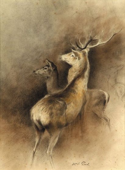 Xavier de Poret (1894-1975)
Cerf et biche...