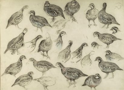 Xavier de Poret (1894-1975)
« Etude de perdrix...