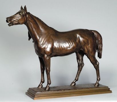 Isidore Jules Bonheur (1827-1901)
« Etalon...