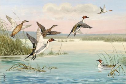 Boris Riab (1898-1975)
« L'envol des canards...