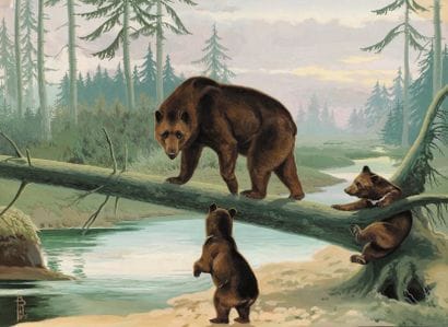 Boris Riab (1898-1975)
« Les ours bruns »...