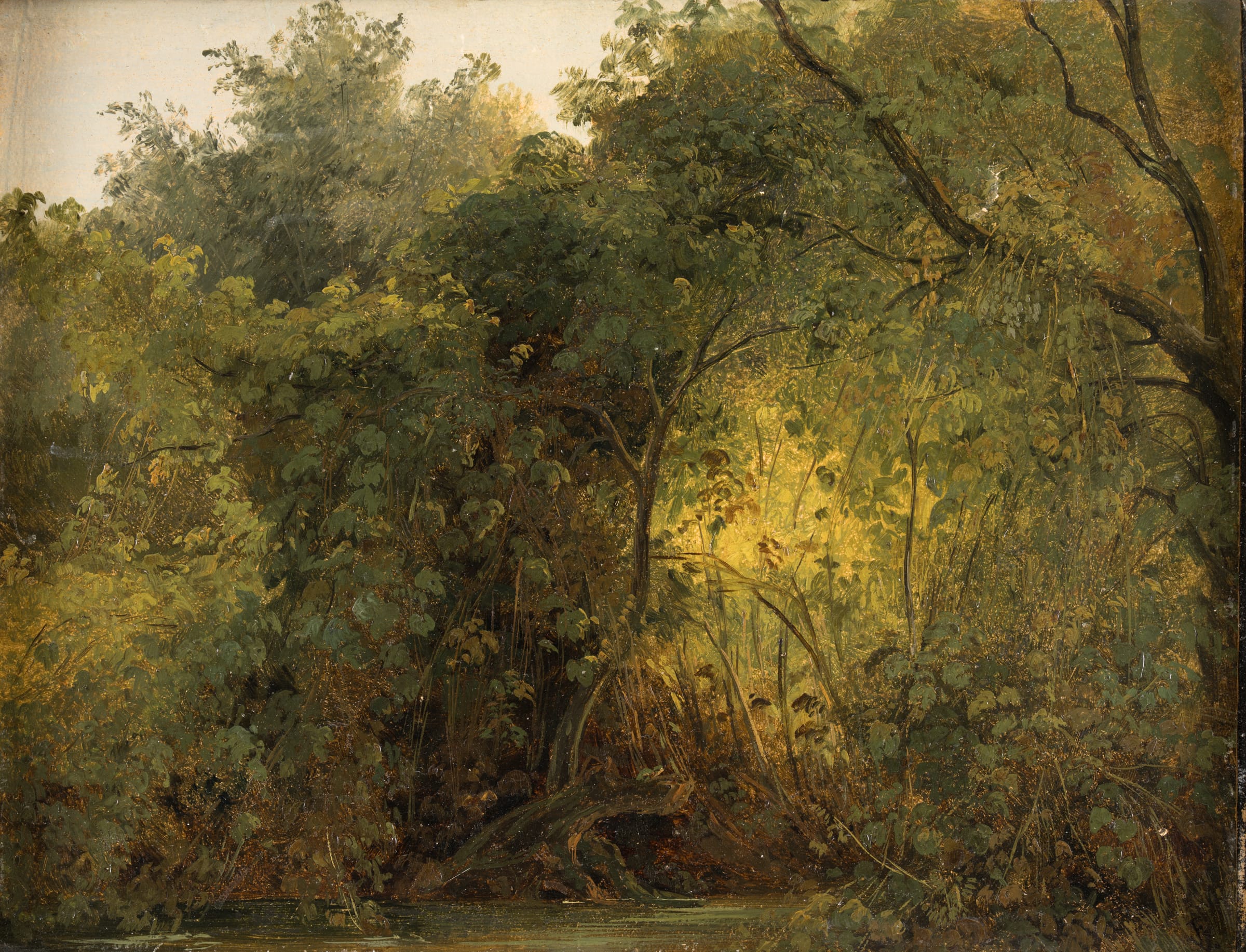 current content