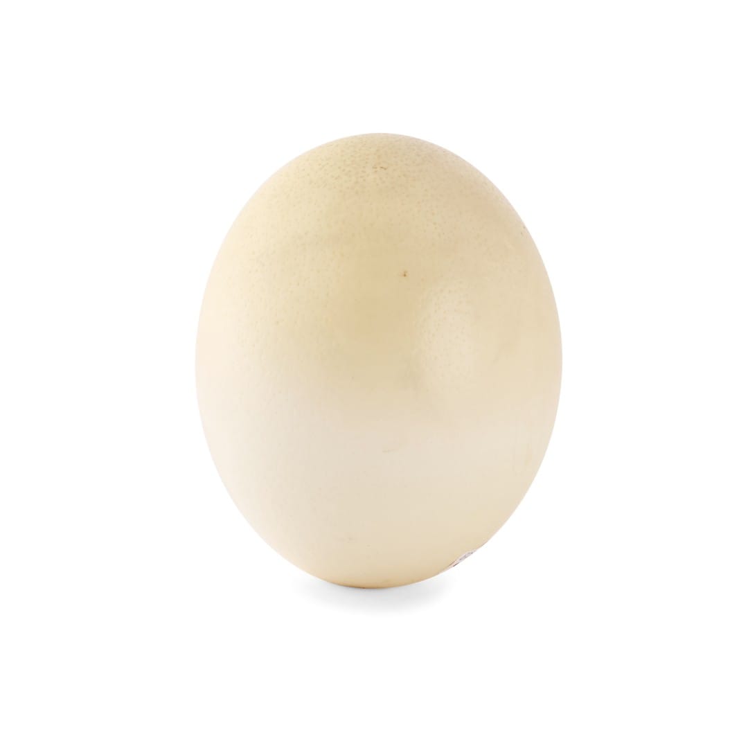 current content
