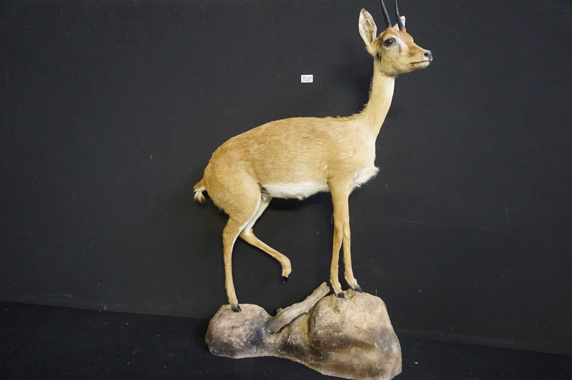current content