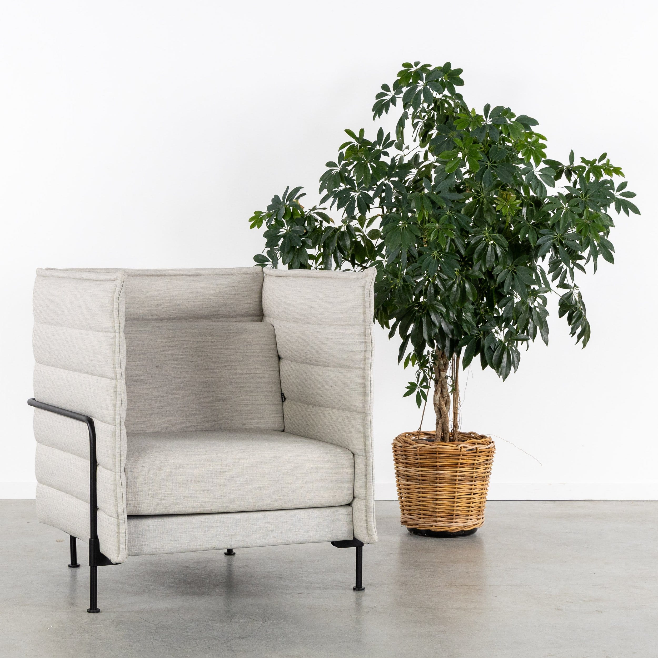 current content
