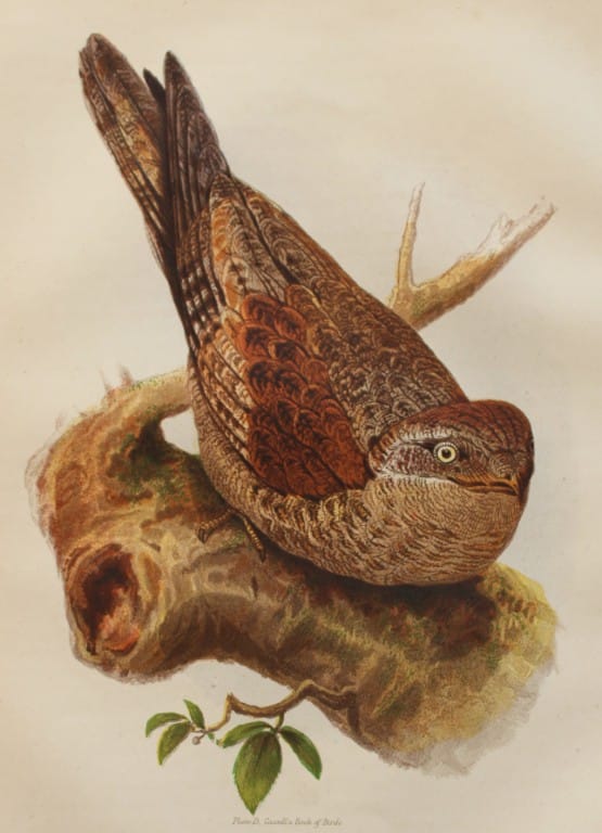current content