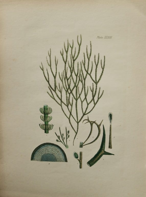 current content