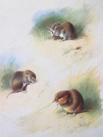 current content