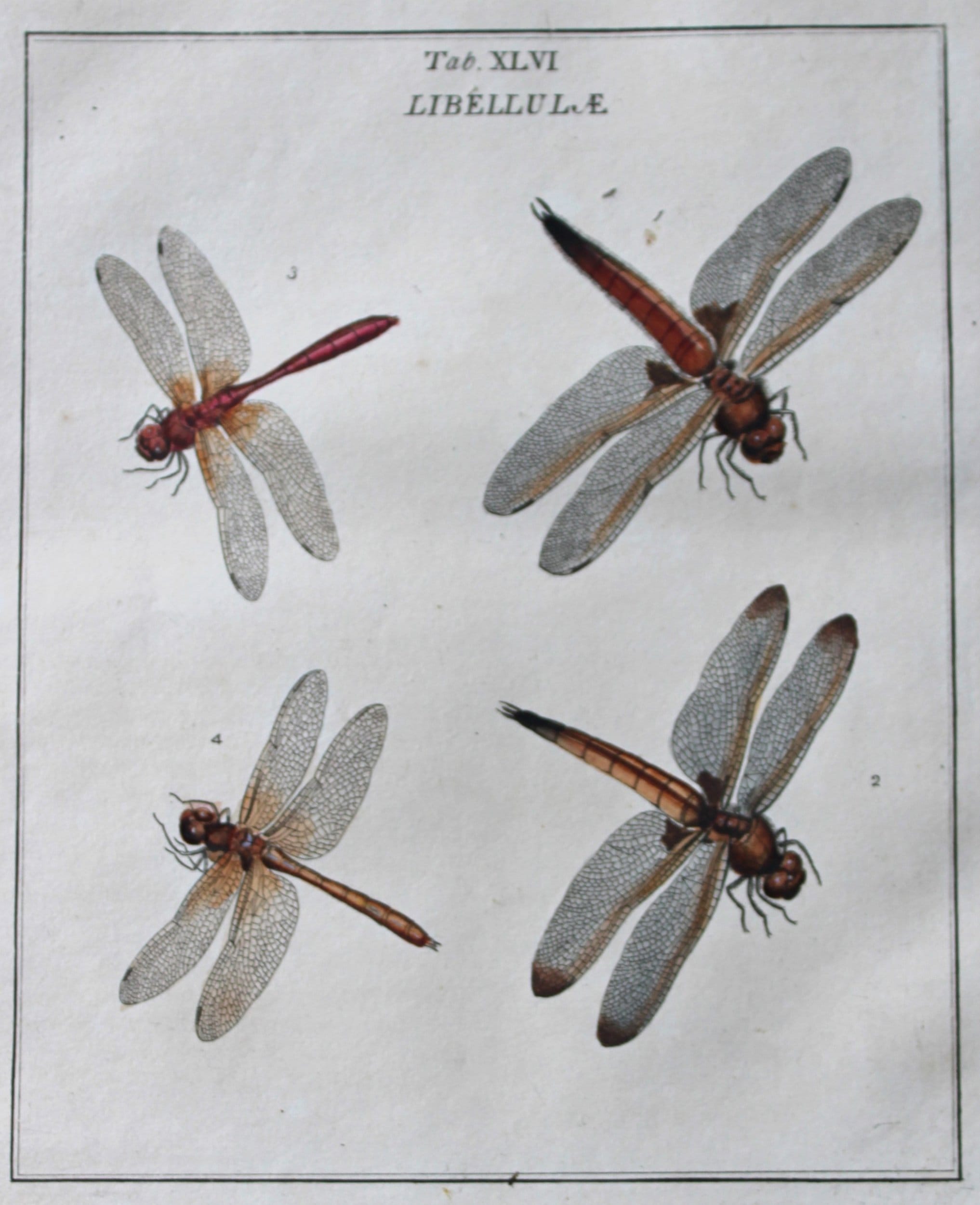 current content