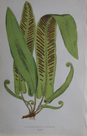 current content