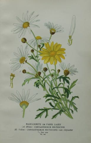 current content
