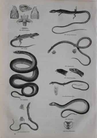 current content