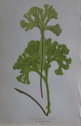 current content