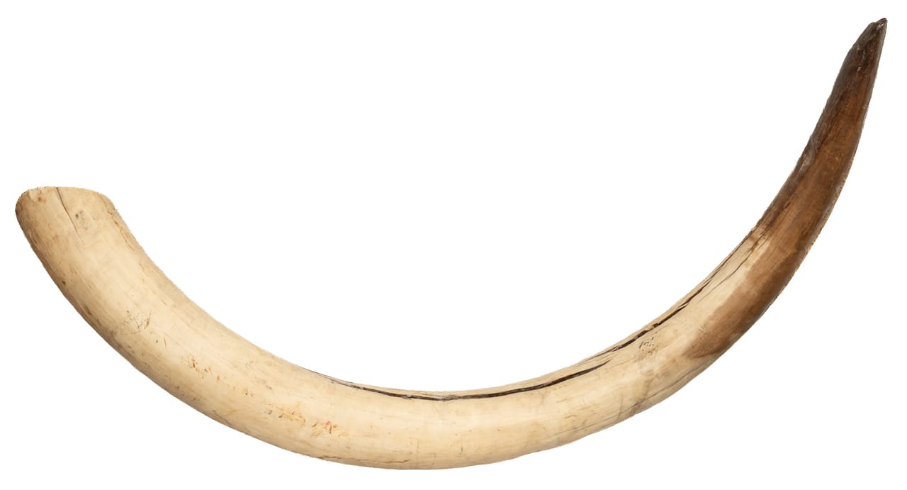 current content