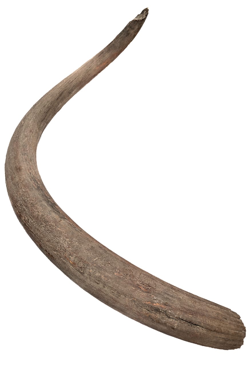 current content