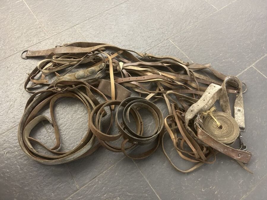 current content