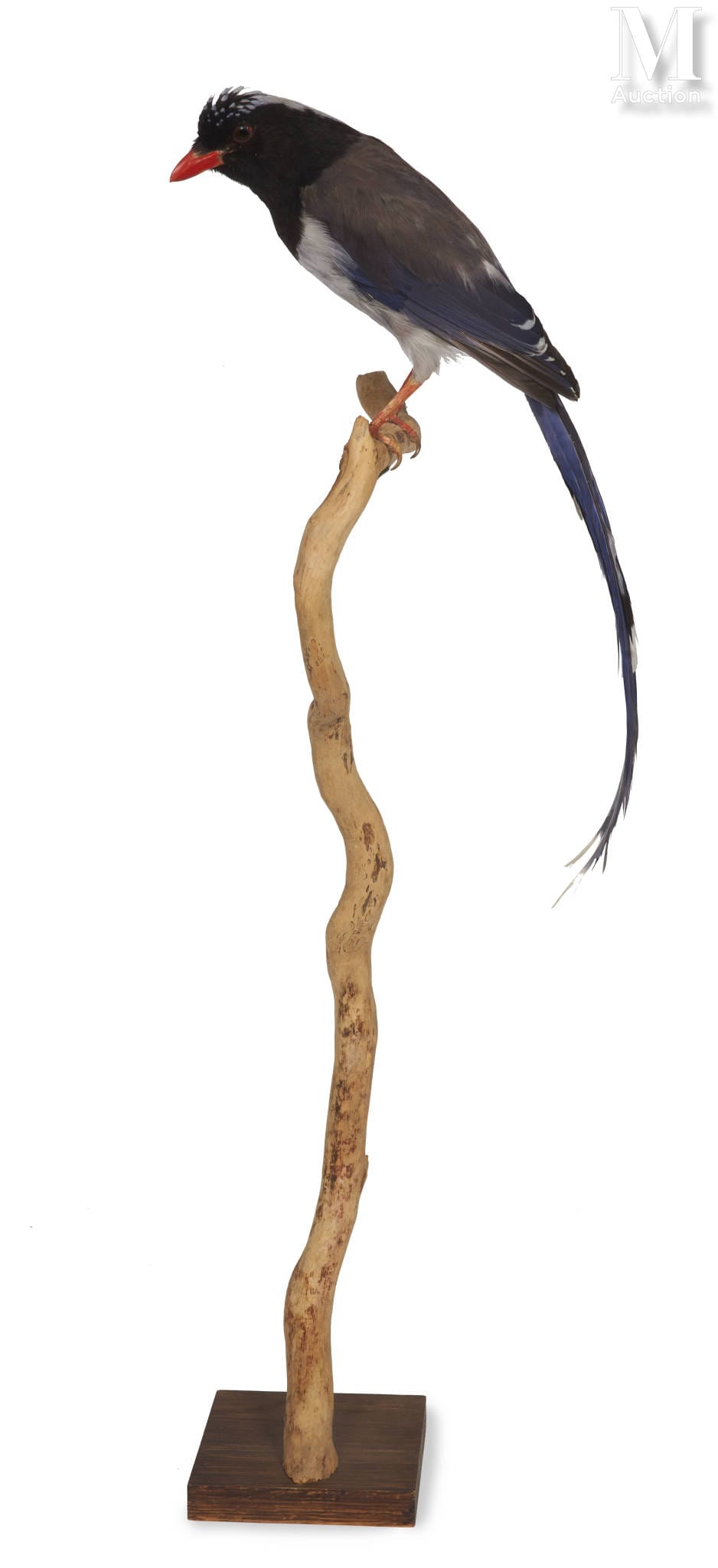 current content