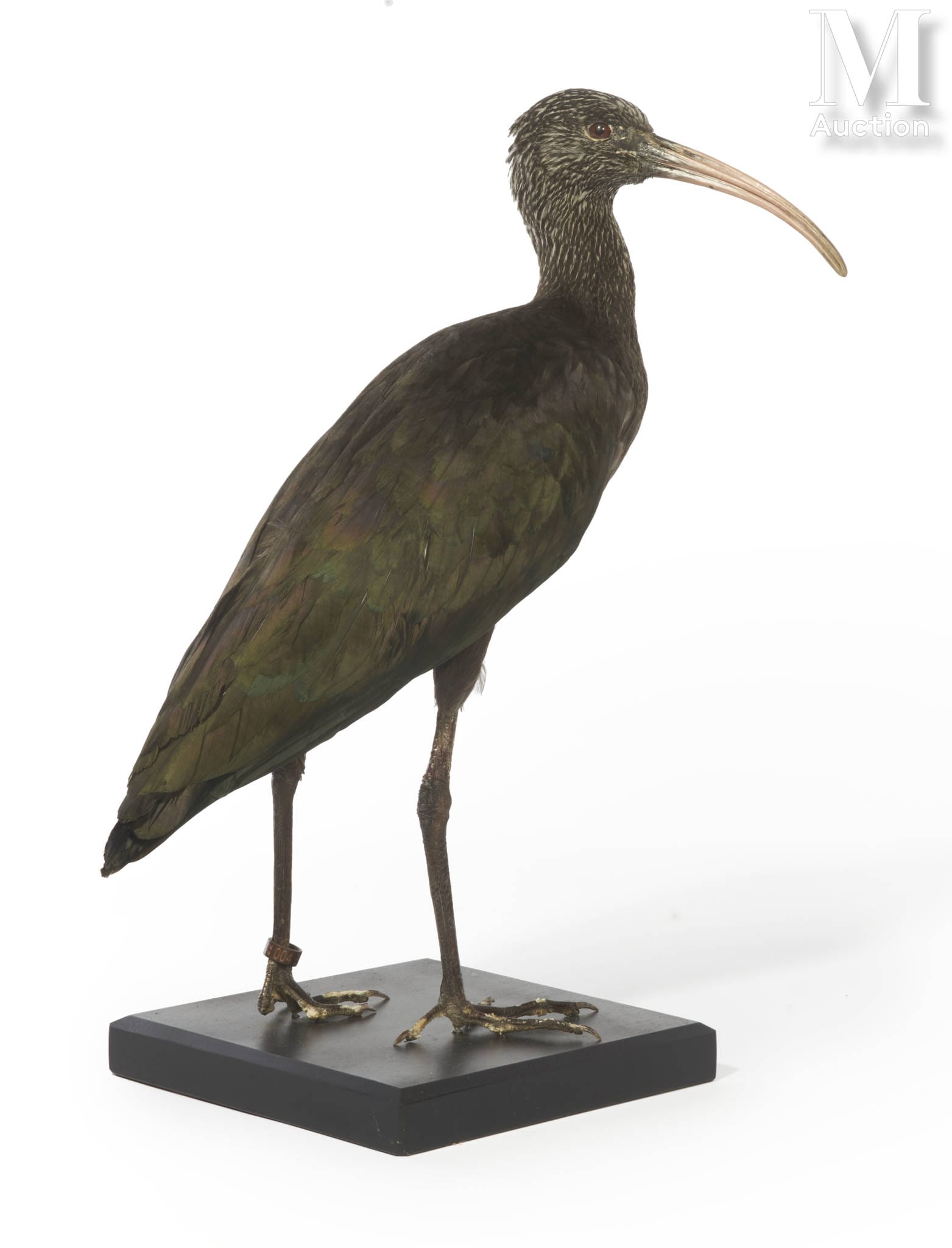 current content