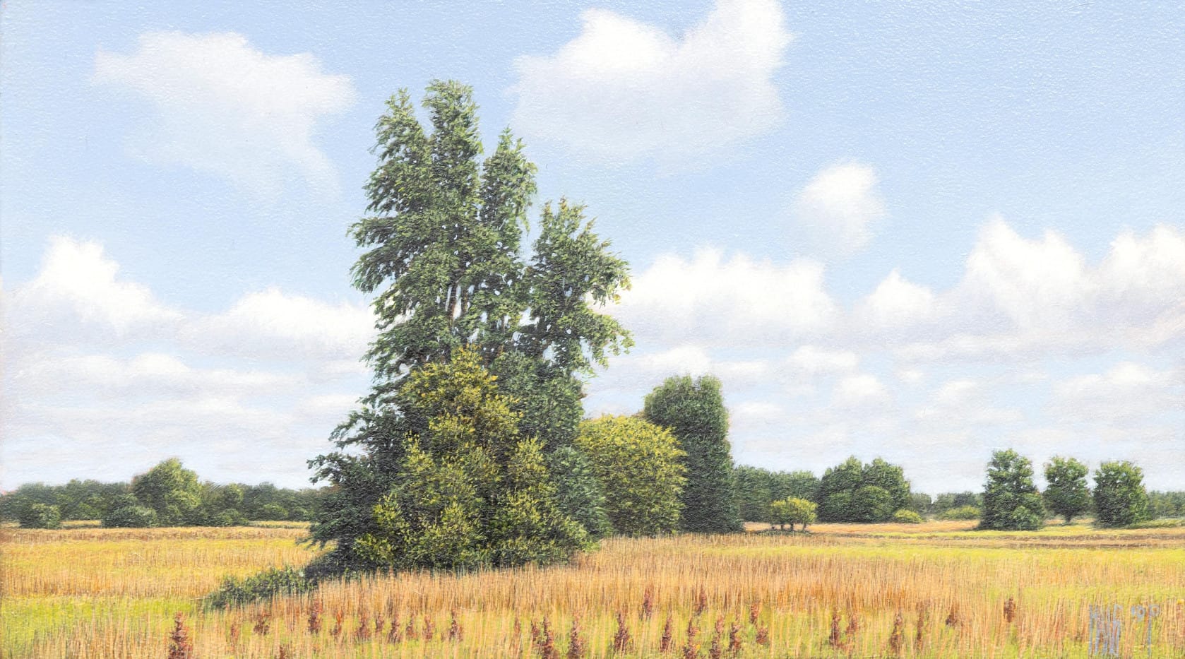 current content