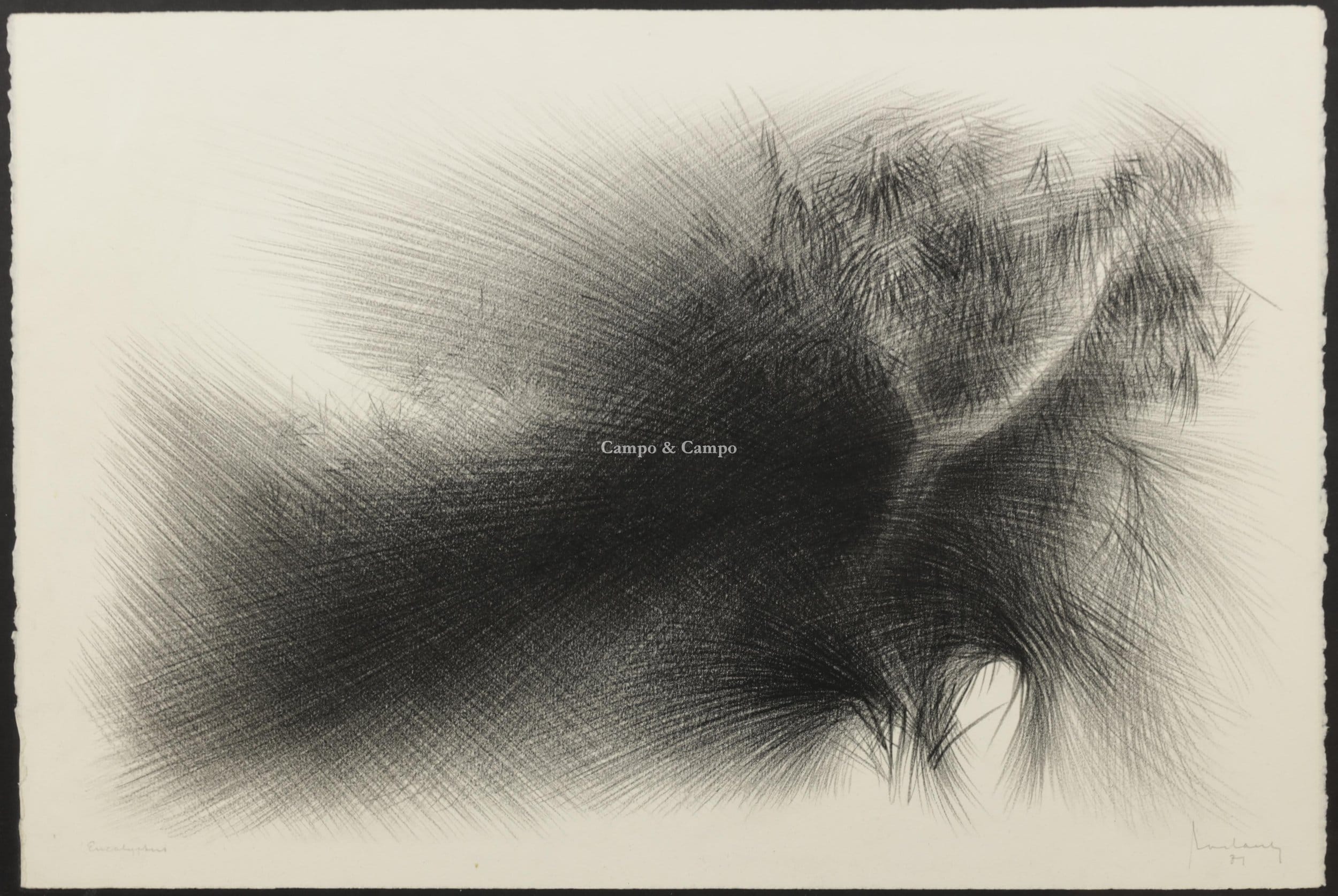 current content