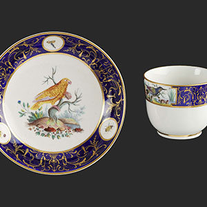 TOURNAI Tasse et sa soucoupe en porcelaine tendre du service du duc d’Orléans d’après l’Histoire naturelle des Oiseaux du comte de Buffon
