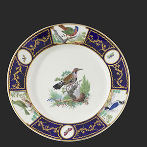 TOURNAI Assiette en porcelaine tendre du service du duc d’Orléans d’après l’Histoire naturelle des Oiseaux du comte de Buffon 