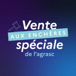 Vente aux enchères spéciale de l’Agrasc 