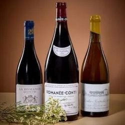 Wein-Exzellenz aus einem erstklassigen europäischen Weinkeller – Teil II