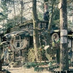 CHOMO : 30 dessins  pour la forêt de Fontainebleau