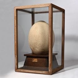 Vente d'histoire naturelle et de philatélie – 6e jour
