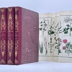 Book Sale - Miscellaneous II