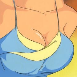 HENTAI (Original Japanese comic art, erotic Japanese animation cels, and related merchandise)