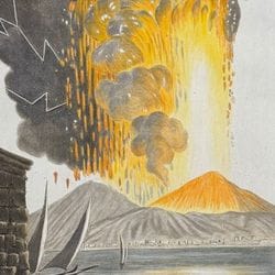 Antique Prints, Maps, & Books of Natural History, Botanicals, & More