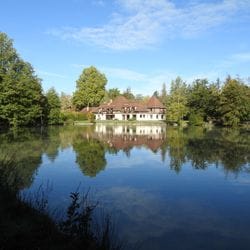 FOR SALE: Property in Sologne