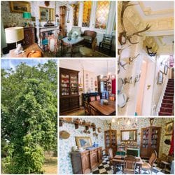 Vente de la collection de Monsieur D.